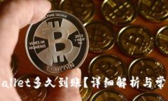 :提现到TPWallet多久到账？详细解析与常